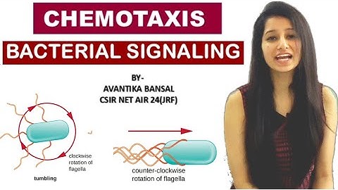 Chemotaxis- Bacterial Signaling||Cell Signaling|Microbiology||