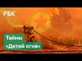 Кто такие «Дети огня» и действительно ли курдская группировка стоит за поджогами лесов в Турции