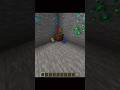 Minecraft Dancing Parrot 😂 #minecraft #shorts