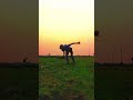 Frontflip Avoid This Error For Beginner| #shorts #frontflip #backflip #gymnast