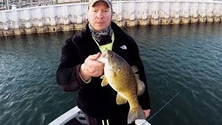 Slaying St Clair Smallmouth with Megabass 110+2