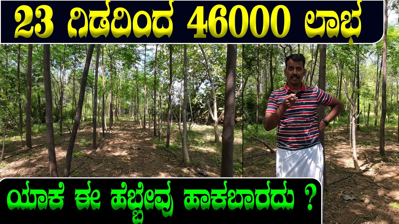 ಹೆಬ್ಬೇವು ಕೃಷಿ ಮಾಡಿದ್ರೆ ಮೇವಿನ ಸಮಸ್ಯೆನೆ ಇರಲ್ಲ | Hebbevu Farming