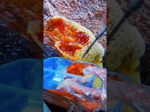 عسل النحل البري الجبل