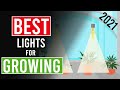 The Best Light Setup for Growing Cannabis: Beginners guide!