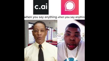c.ai vs chai: when you say anything #memes #fypシ #meme #chai #characterai #cai
