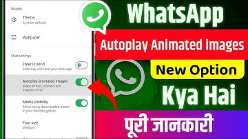 WhatsApp New Update Autoplay Animated images | WhatsApp Autoplay Animated kya Hai