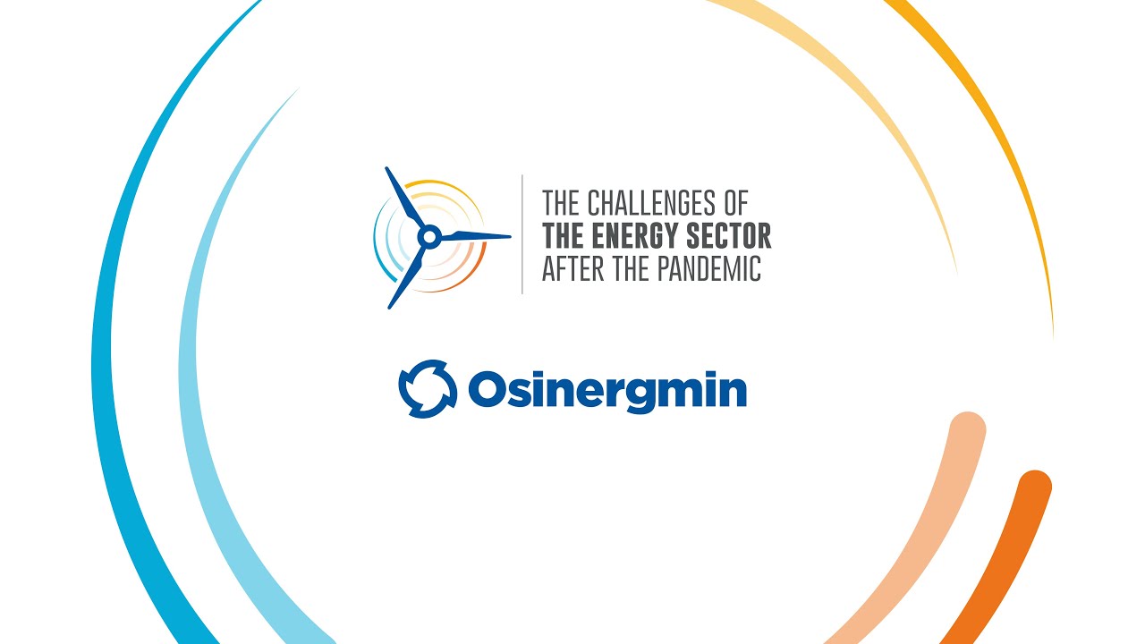 International Forum: The challenges of the energy sector after the pandemic