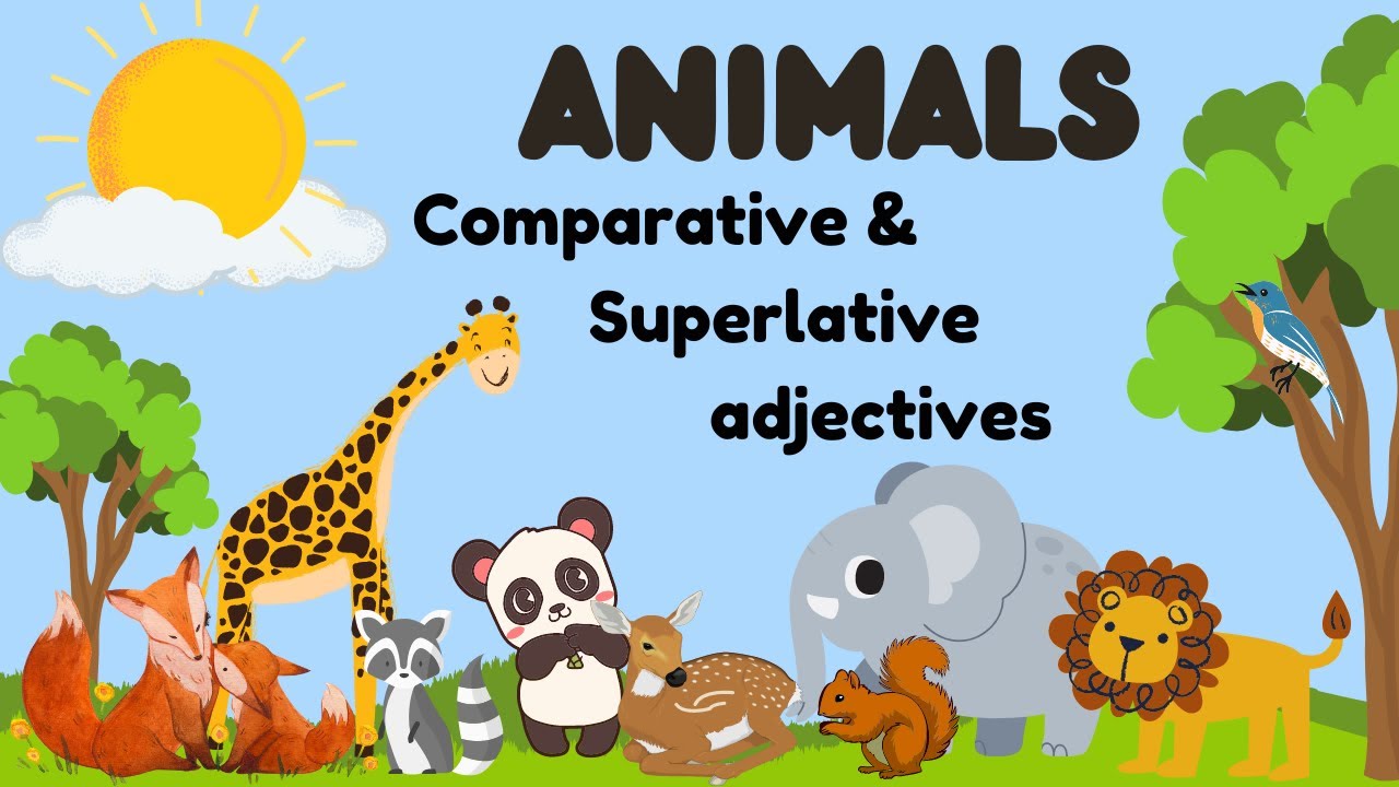 Learn Comparative Superlative Adjectives To Describe Animals Learn Comparative Superlative Adjectives To Describe Animals