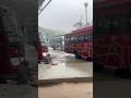 baarish k bicho bich fas gya #india #youtubeshorts #ytshorts #youtube