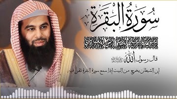 سورة البقرة برواية ورش عن نافع بصوت القارئ الشيخ أنس العمادي | ليلة 28 رمضان 1445 هـ