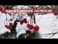 Весна пришла / готовим теплицу / куры с утками дерутся  / молодая ферма / жизнь в деревне на пенсии