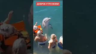 Дельфин- любитель целоваться)))