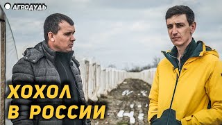 &quot;Хохол&quot; о России и Украине - под обстрелами собирают ягоду