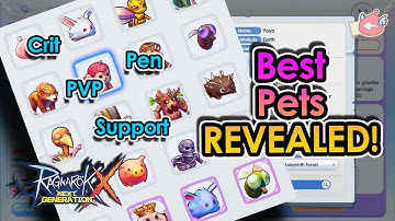 [ROX Global] BEST Pets for Your Build in ROX Global (CRIT, PEN, Support build) | King Spade