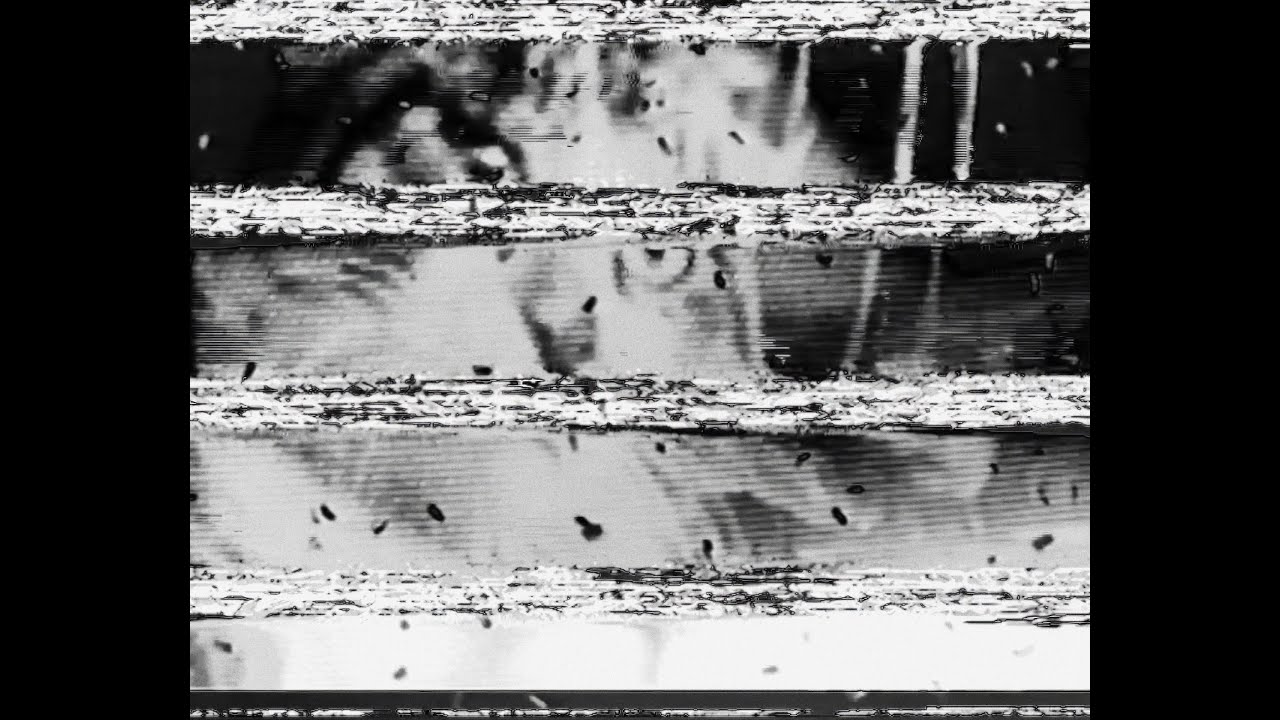 Evols - Euro tragedy (Official Video)