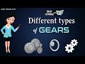 Gears | Types of Gears: Different Gears and their Uses Explained | Mechanical Engineering | Science