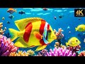 Aquarium 4K Video (Ultra HD) 🐠 Beautiful Coral Reef Fish - Relaxation Meditation Music