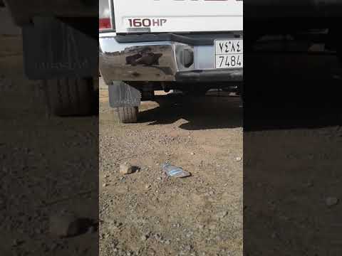 تفتفة ددسن 2015 