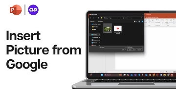 How to Insert Picture from Google on Microsoft PowerPoint