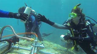 What Do Corals Tell Us About Changing Climates? with Paleoceanographer Nathalie Goodkin