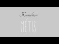 Kaméléon - METIS