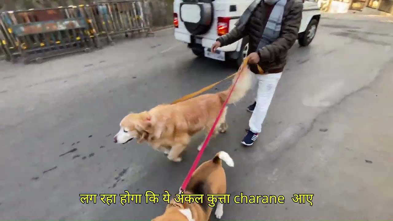 DARJLING funny travel vlog 