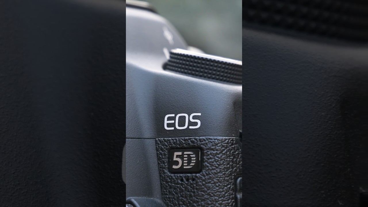 📸 Rétro-test Canon EOS 5D Mark II