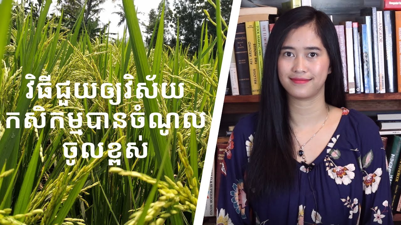 Episode 89: វិធីជួយឲ្យវិស័យកសិកម្មបានចំណូលចូលខ្ពស់