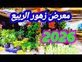 معرض زهور الربيع 2026 اجمل نباتات الظل والصبار والزهور فلوج يسعد القلب