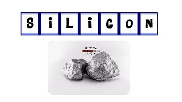 All Words from Fetch with Ruff Ruffman