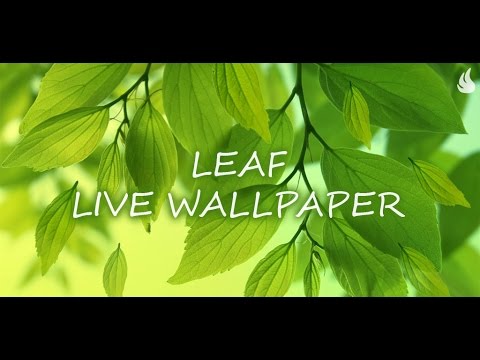 Leaf Live Wallpaper