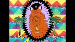 Video thumbnail of "Wavves - Mickey Mouse"