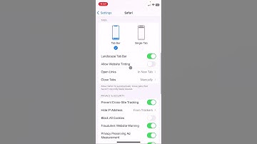How to Enable or Disable JavaScript on iPhone (Quick & Easy!) 📱✅