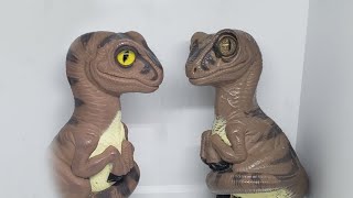 Bob The Raptor & Joe 4th Of JULY