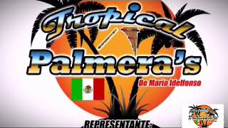 grupo "tropical palmeras" desde san Andrés hidalgo