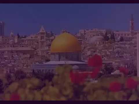 منصوره باذن الله فلسطين ارض الطهاره والشرف فلسطين حره حره
