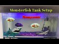 My Monster Fish Tank Setup 💯 #fish #aquarium #pets #pet #monsterfishtank