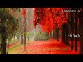 لا تشتكي من الايام فليس لها بديل لا تشتكي من الايام فليس لها بديل