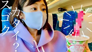 【5秒で溶かす】シンカンセンスゴクカタイアイス攻略