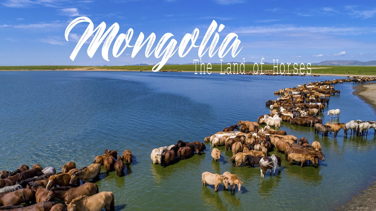 Mongolia The Land of Horses YouTube