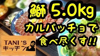 【大食い】5kgのブリをカルパッチョにして食べ尽くす!!!調理編～洋風と和風の２種類のカルパッチョと香草パン粉焼き～