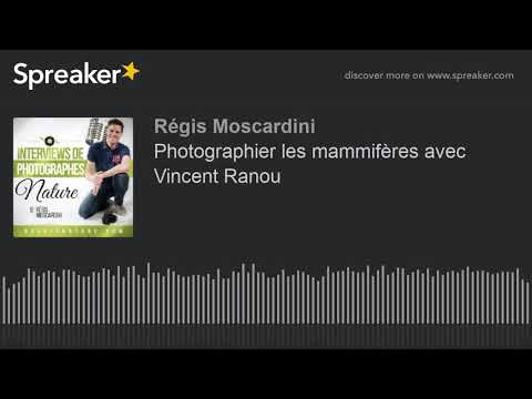 Photographier les mammifères avec Vincent Ranou