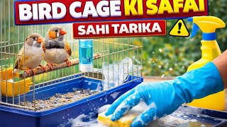 Bird cage ki Safai kyon jaruri hai#birds video #white java birds