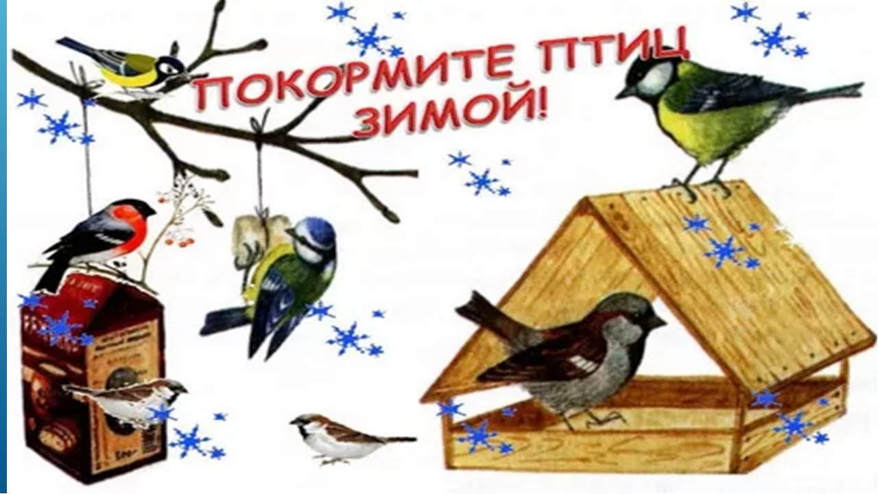 Picture background