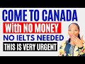 NEW!! CANADA IS CALLING FOR AFRICANS | APPLY FOR FREE BEFORE DEADLINE