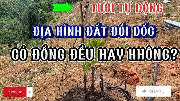 Tưới tự động cho địa hình đất đồi dốc có đồng đều hay không? |Tưới Asop|