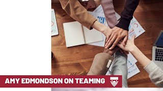 Amy Edmondson on Teaming