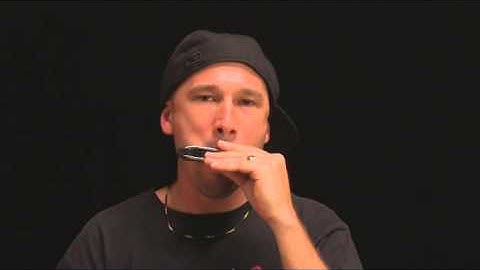 Harmonica Basics XVI -  Learn to Play Harmonica Octaves (+good blues outro lick)