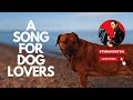 Songs about dogs  i talk to my dog  country