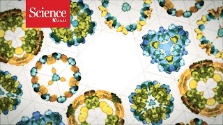The Protein Folding Revolution
